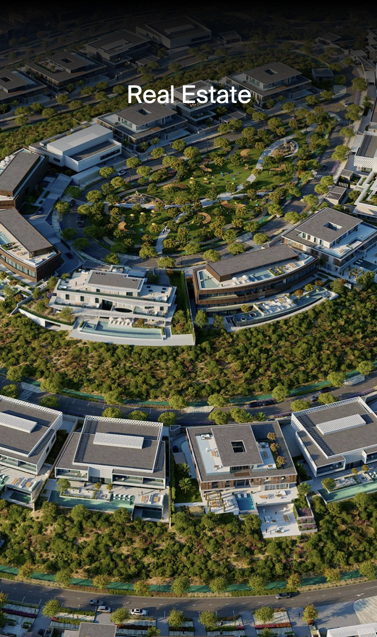Real Estate